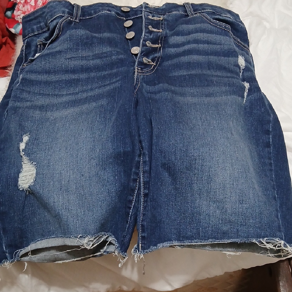 Time and Tru Dark Blue Distressed Jean Shorts